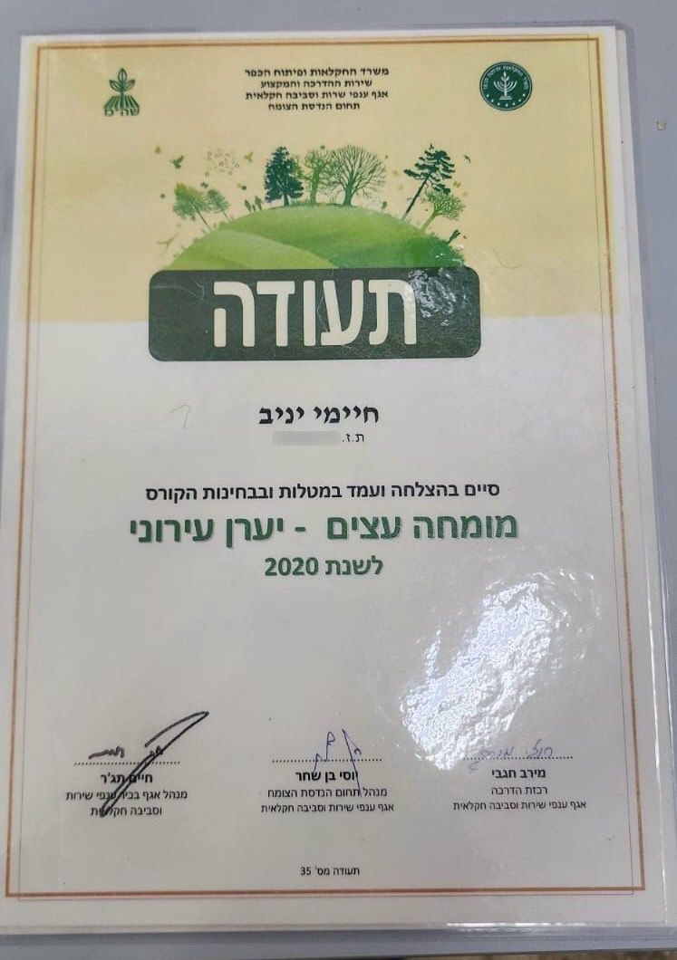 מומחה עצים – יערן עירוני