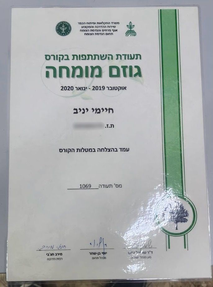 תעודת גוזם מומחה